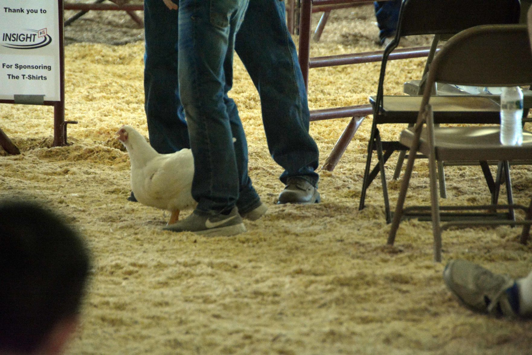 Saturday at the Columbia County Fair